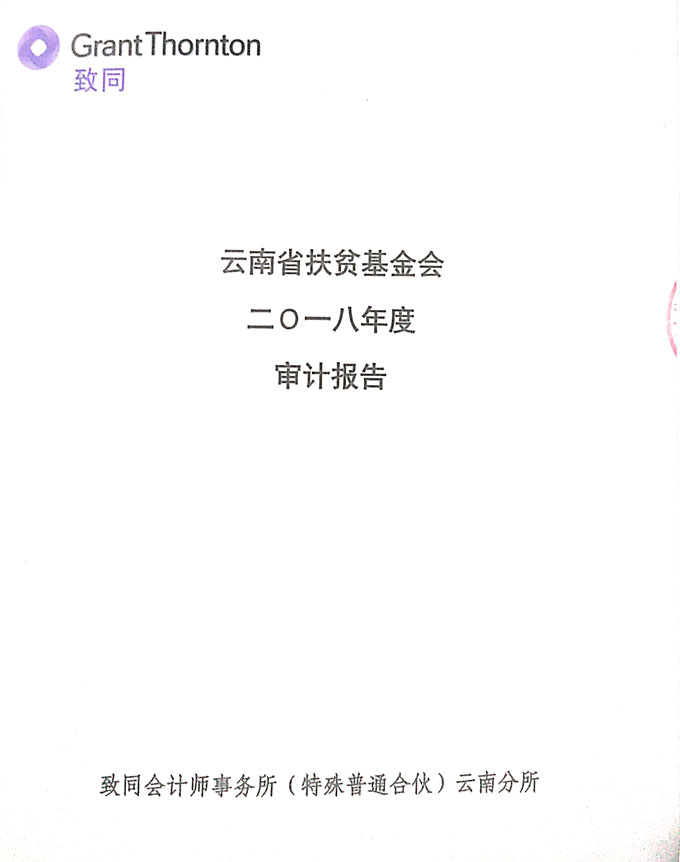2018年财务审计报告