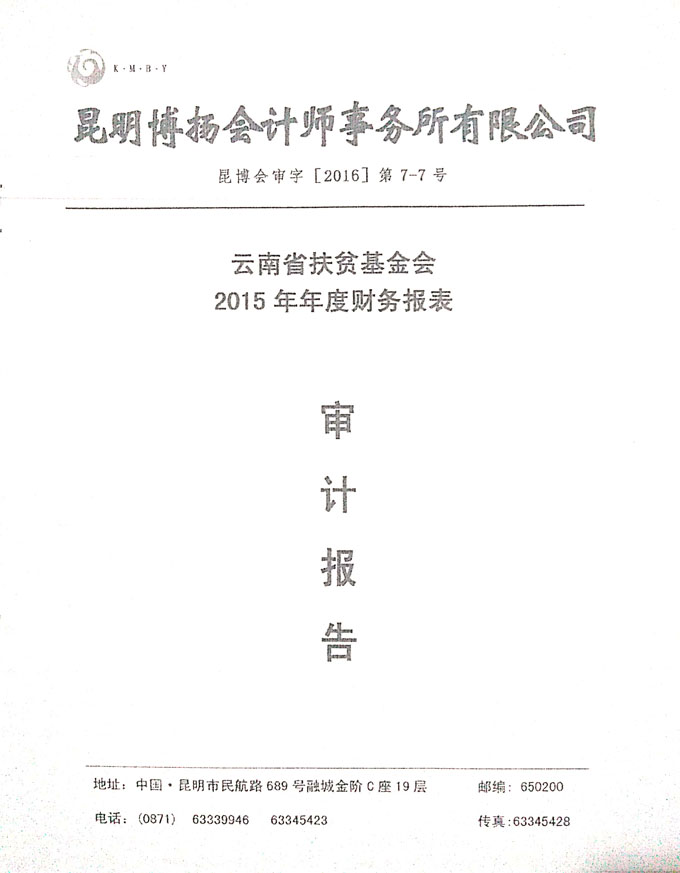 2015年财务审计报告