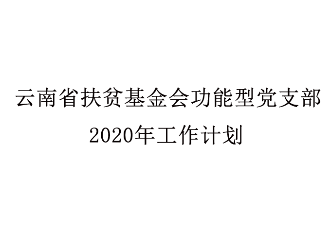 云南省扶贫基金会功能型党支部 2020年工作计划