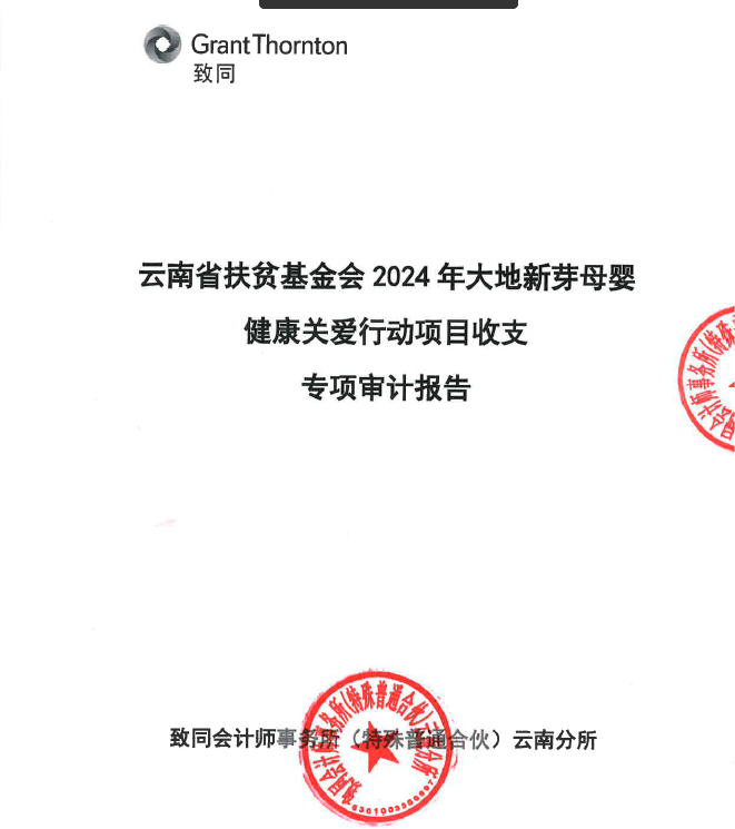 云南省扶贫基金会2024年大地新芽母婴健康关爱行动项目收支专项审计报告