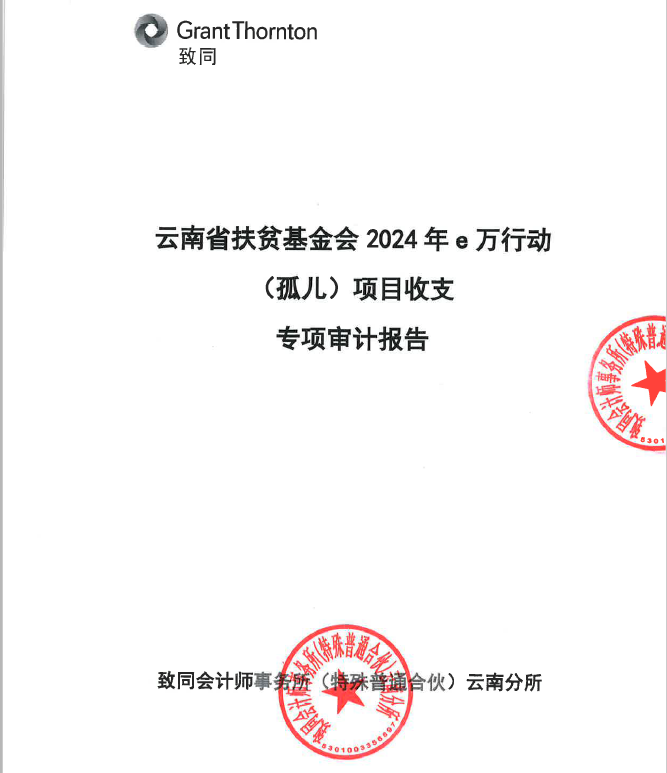 云南省扶贫基金会2024年e万行动（孤儿）项目收支专项审计报告