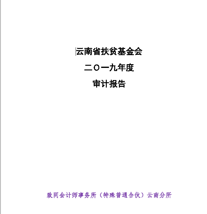2019年财务审计报告