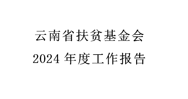 云南省扶贫基金会2024年度工作报告