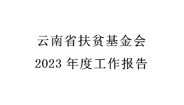 云南省扶贫基金会2023年度工作报告