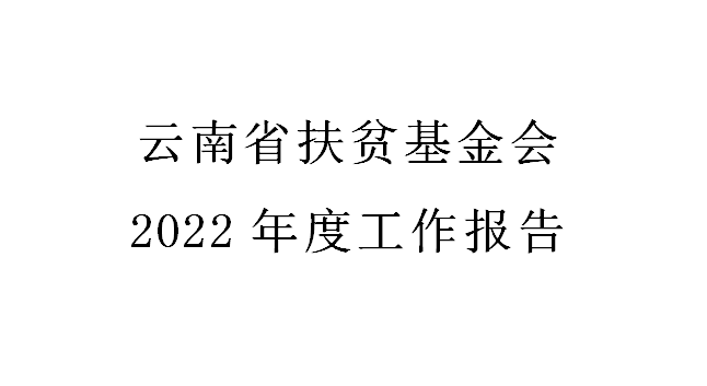 云南省扶贫基金会2022年度工作报告