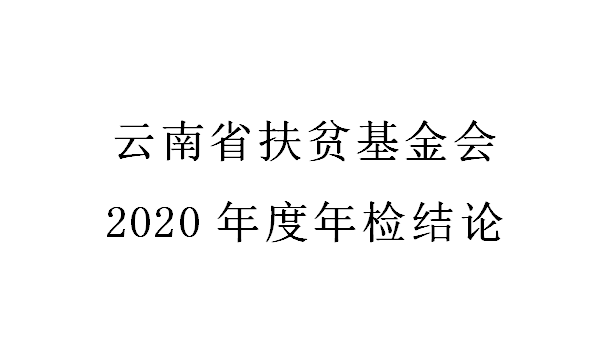 2020年度年检结论