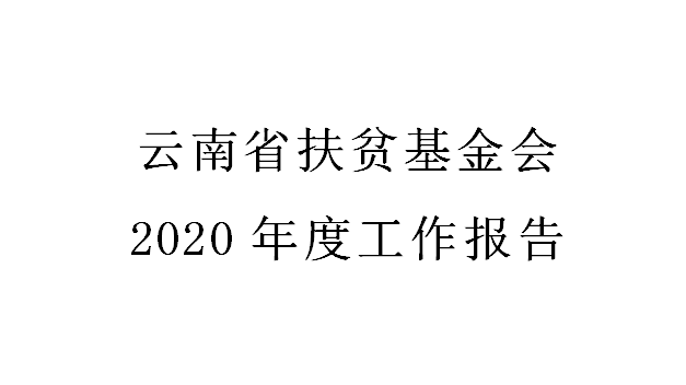 云南省扶贫基金会2020年度工作报告