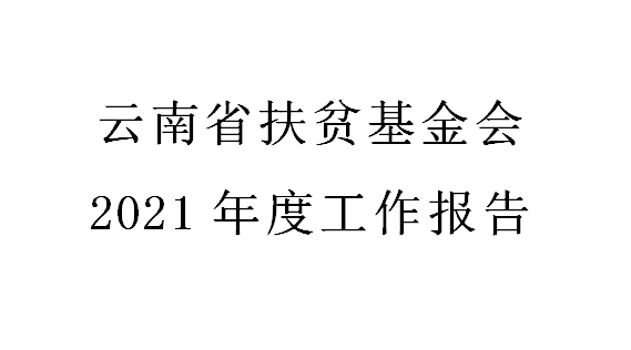 云南省扶贫基金会2021年度工作报告